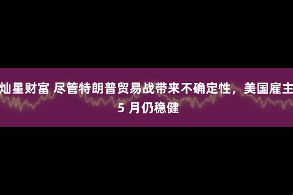 灿星财富 尽管特朗普贸易战带来不确定性，美国雇主 5 月仍稳健