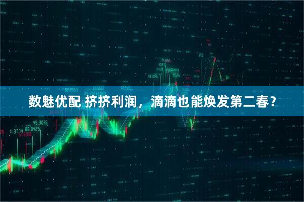 数魅优配 挤挤利润，滴滴也能焕发第二春？