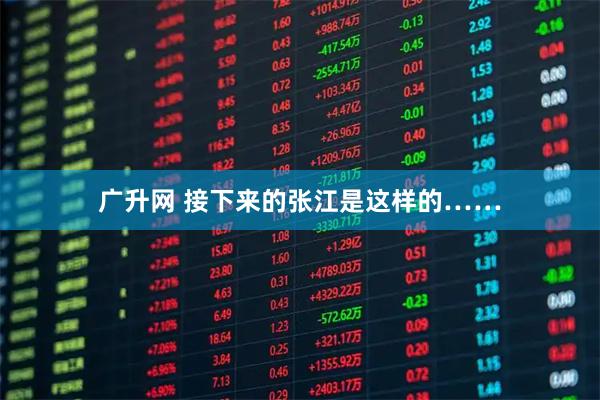广升网 接下来的张江是这样的……