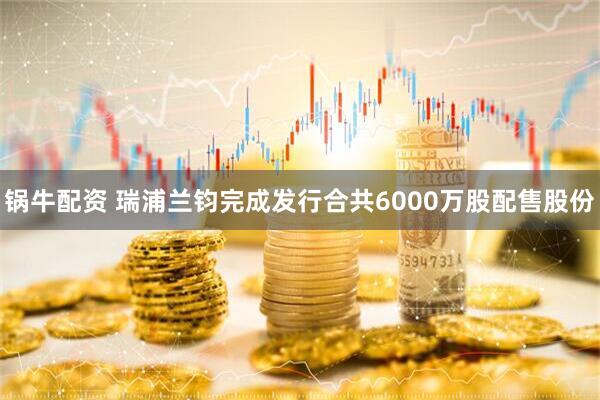 锅牛配资 瑞浦兰钧完成发行合共6000万股配售股份