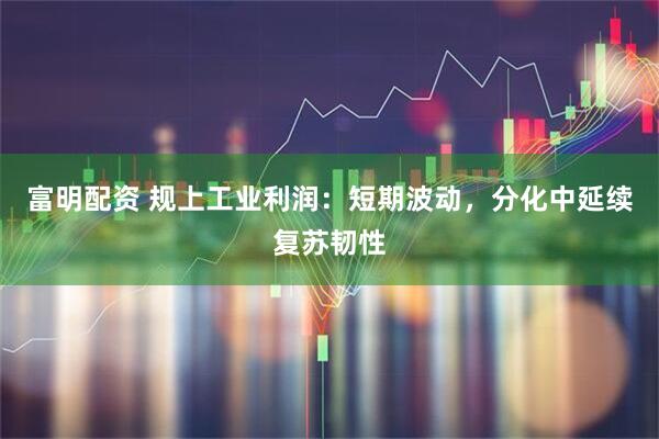 富明配资 规上工业利润：短期波动，分化中延续复苏韧性