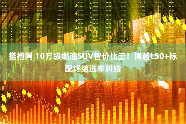 搭档网 10万级燃油SUV智价比王！博越L50+标配终结选车纠结