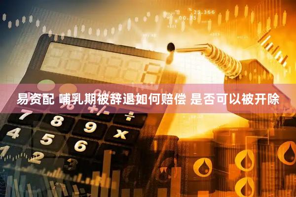 易资配 哺乳期被辞退如何赔偿 是否可以被开除